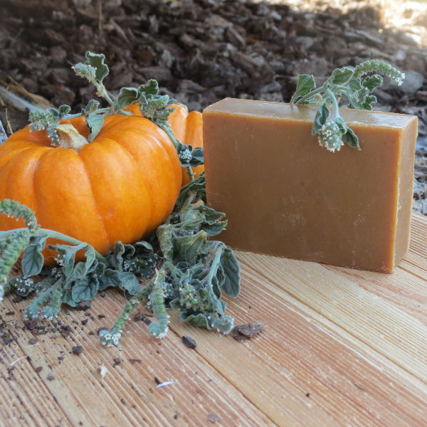 pumpkin goat milk soap